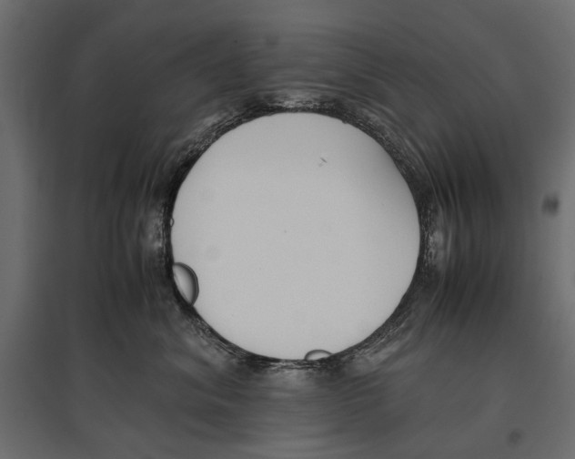 X0000096980620200803071031