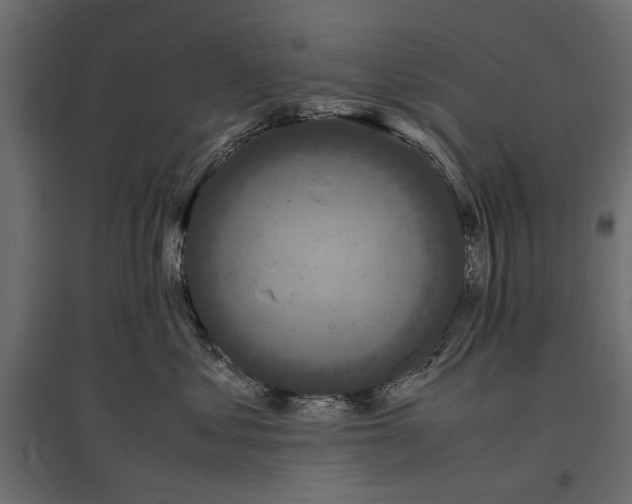 X0000096980621200803071031