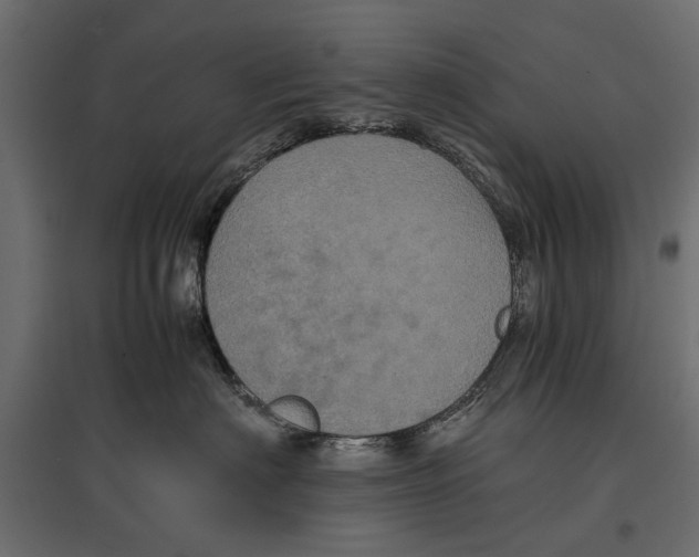 X0000096980622200803071031