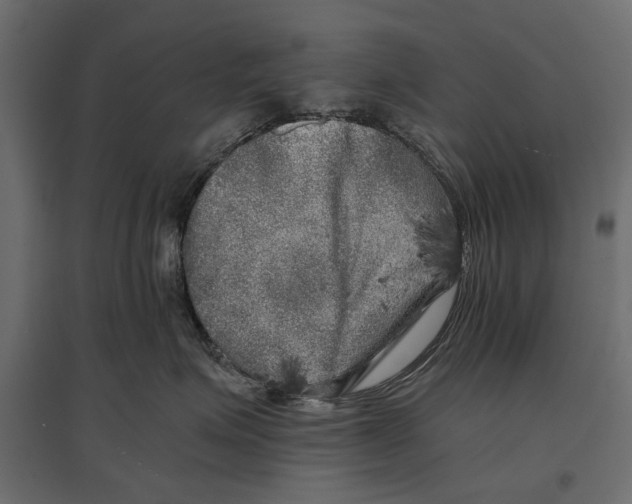 X0000096980623200803071031