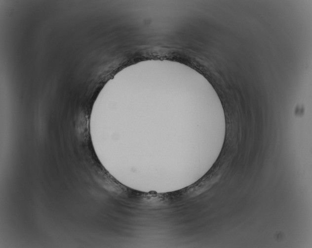 X0000096980624200803071031