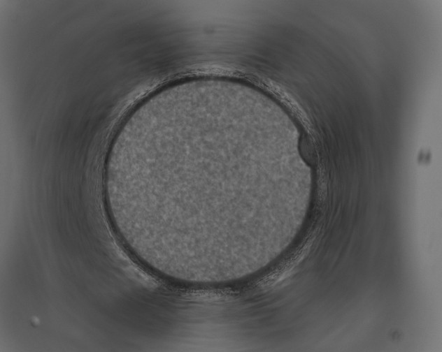 X0000096980625200803071030