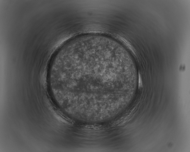 X0000096980627200803071030