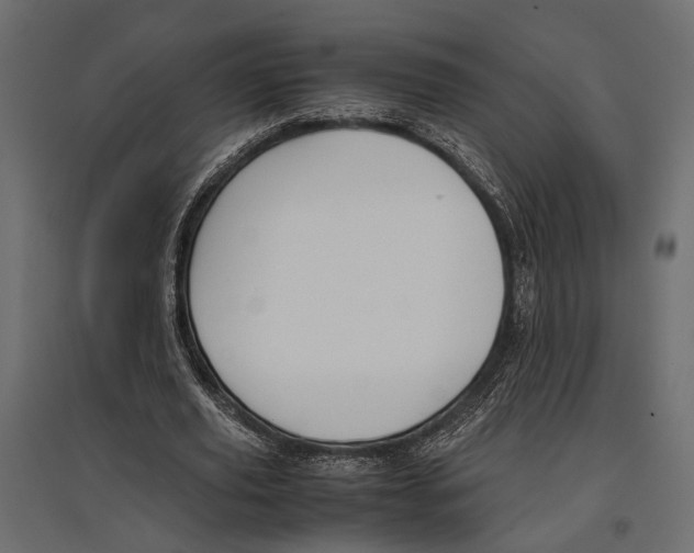 X0000096980629200803071030