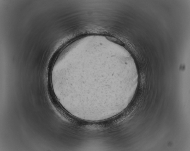 X0000096980630200803071030