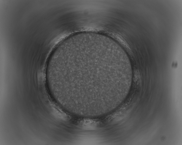 X0000096980632200803071030