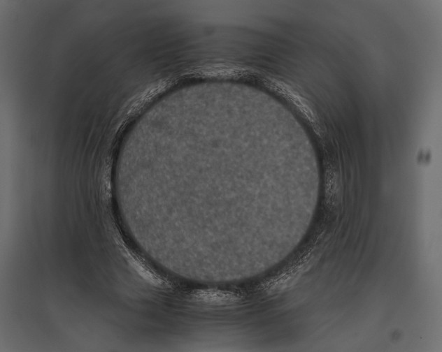 X0000096980633200803071030