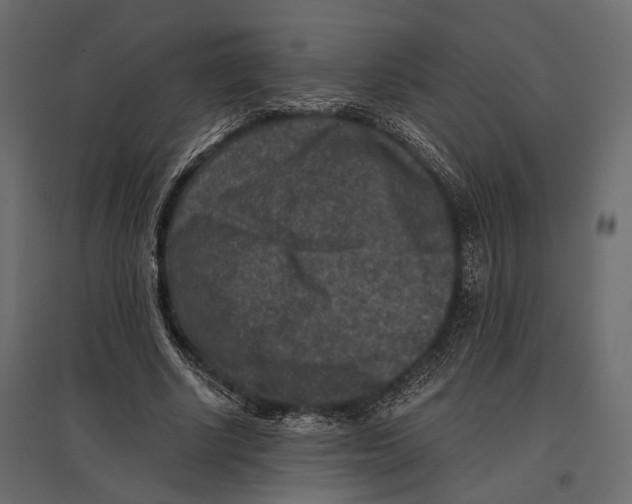 X0000096980634200803071030