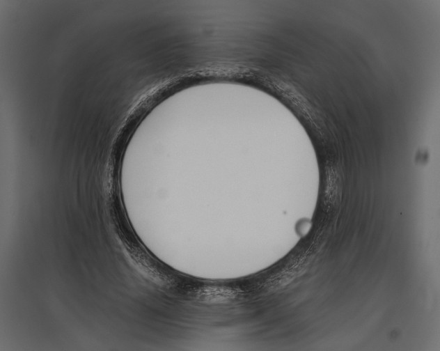 X0000096980636200803071030