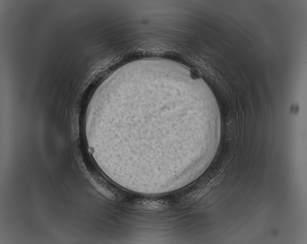 X0000096980638200803071030