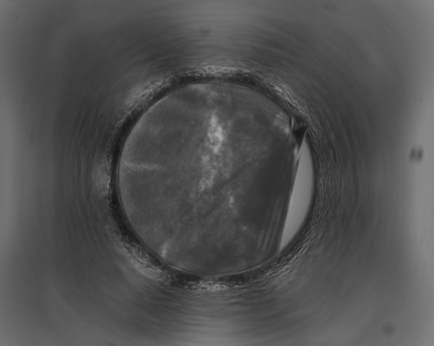 X0000096980640200803071030