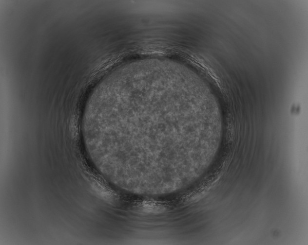 X0000096980641200803071030