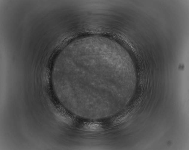 X0000096980643200803071030