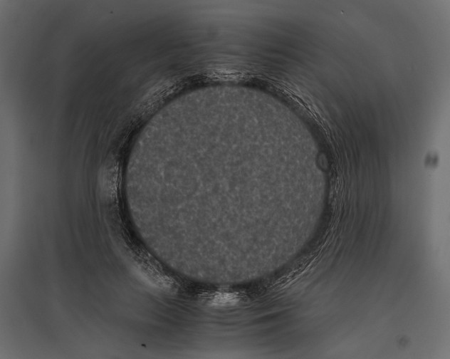 X0000096980647200803071030