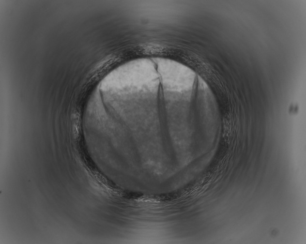 X0000096980648200803071030