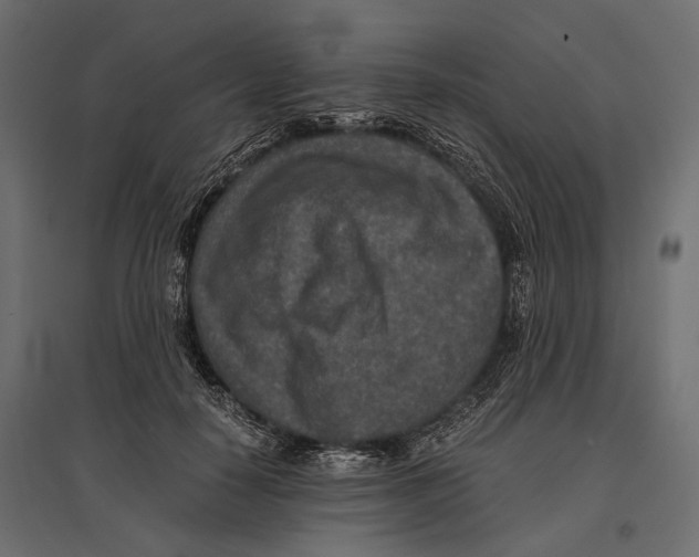 X0000096980650200803071030