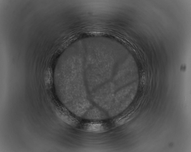 X0000096980651200803071030