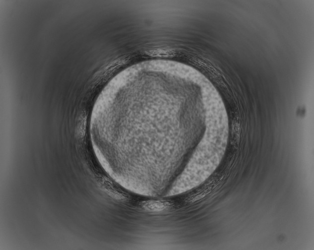 X0000096980652200803071030