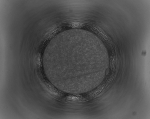 X0000096980655200803071030