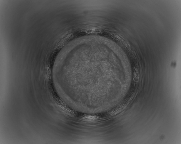 X0000096980659200803071030