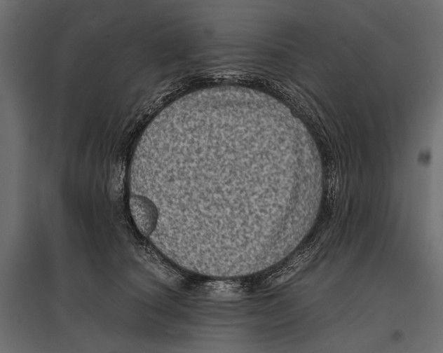 X0000096980660200803071031