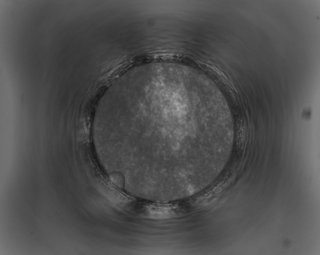 X0000096980661200803071031