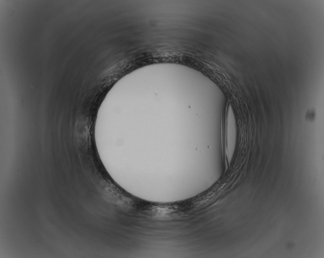 X0000096980662200803071031