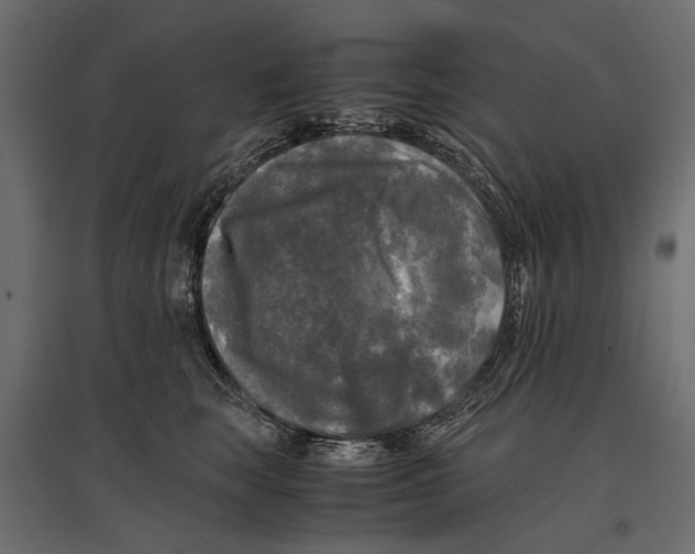 X0000096980663200803071031