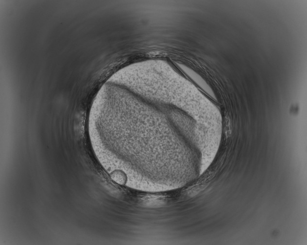 X0000096980664200803071031