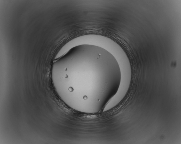 X0000096980665200803071031