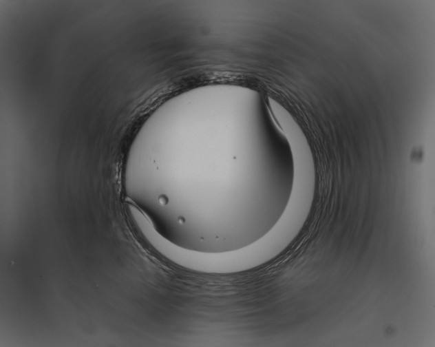 X0000096980666200803071031