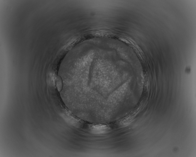 X0000096980669200803071031