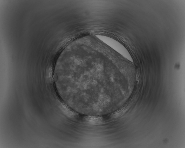 X0000096980670200803071031