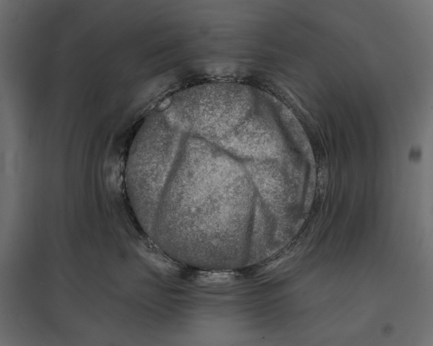 X0000096980671200803071031