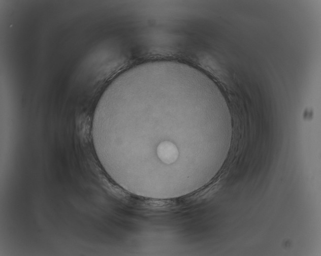 X0000096980672200803071031