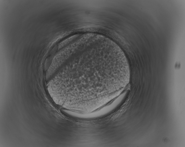 X0000096980673200803071030