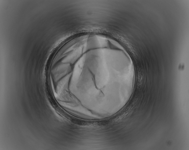 X0000096980674200803071030