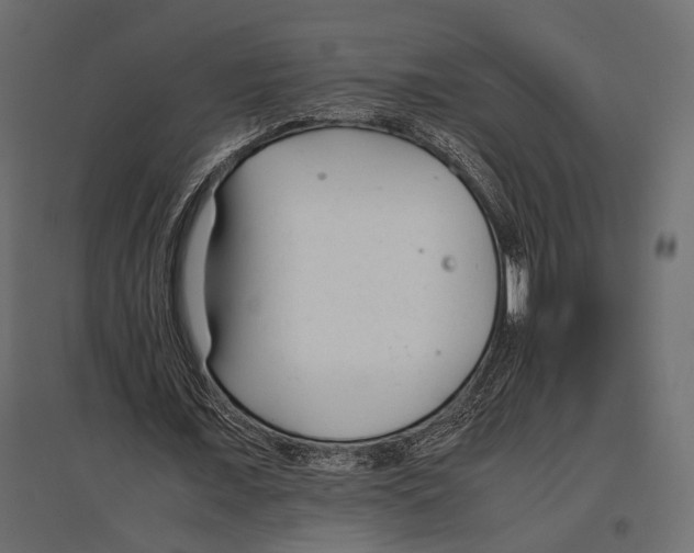 X0000096980675200803071030