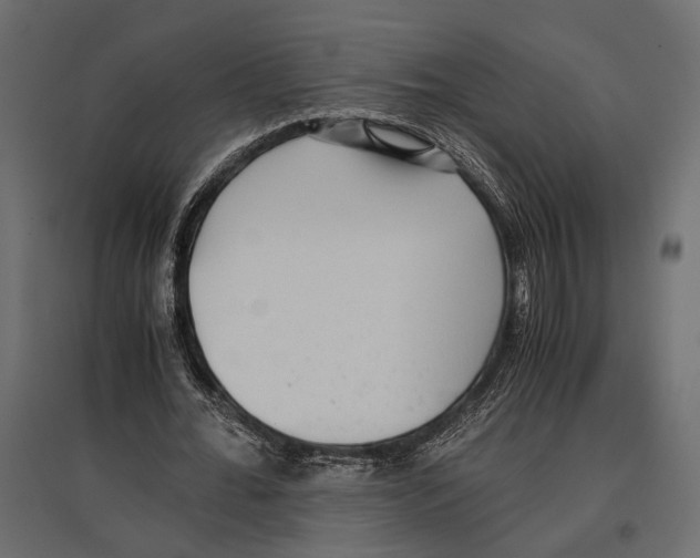 X0000096980676200803071030