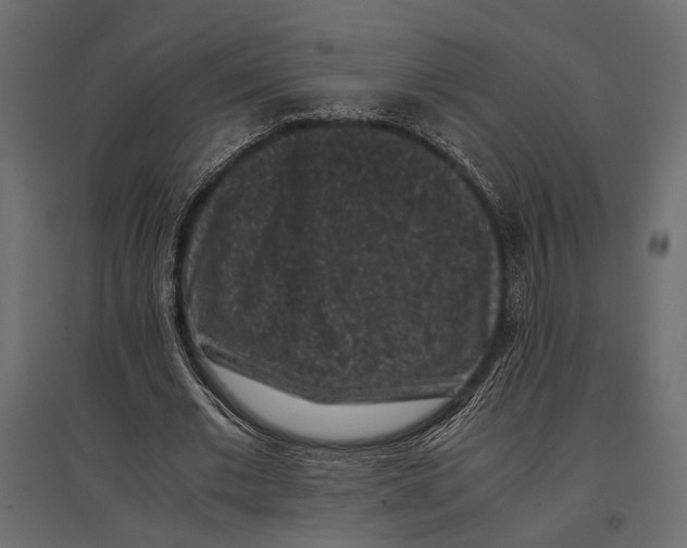 X0000096980677200803071030