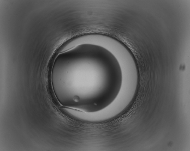 X0000096980679200803071030