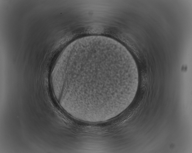 X0000096980681200803071030