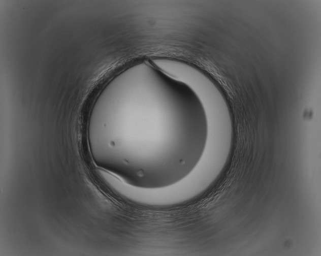 X0000096980683200803071030