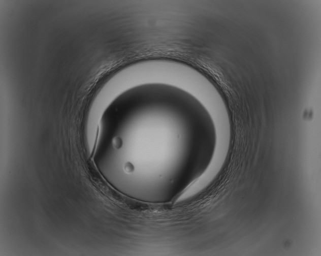 X0000096980687200803071030