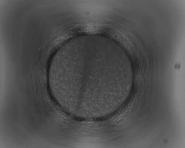 X0000096980689200803071030