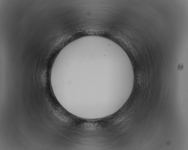 X0000096980690200803071030