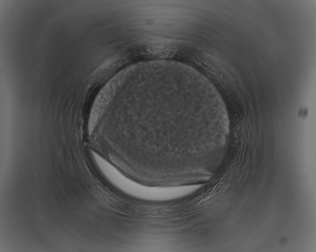 X0000096980693200803071030