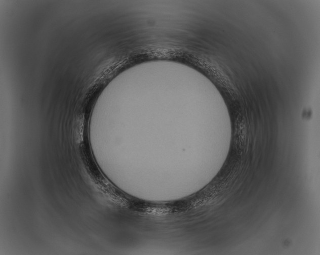 X0000096980694200803071030