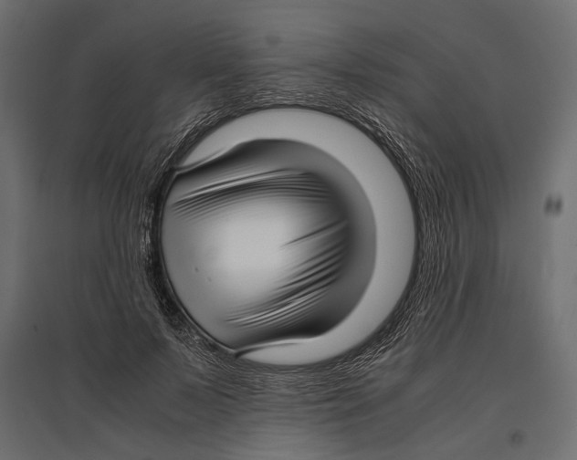 X0000096980695200803071029