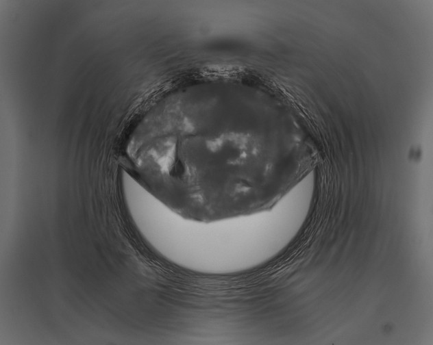 X0000096980699200803071029